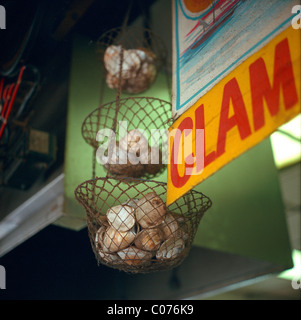 Di vongole fresche in una fase di stallo a Coney Island, New York, Stati Uniti d'America Foto Stock