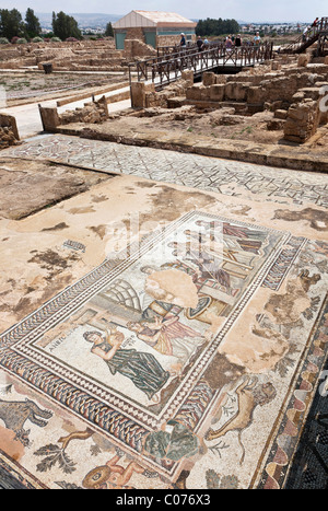 Pavimento a mosaico in casa di Aion, insediamento romano, sito di scavo, Paphos, Cipro del Sud, greca di Cipro, Europa meridionale Foto Stock