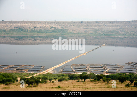 Estrazione del sale in Lake Katwe vicino alla Queen Elizabeth National Park, Uganda occidentale Foto Stock