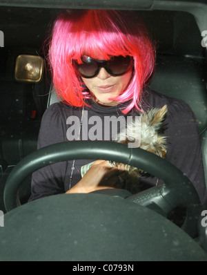 Britney Spears indossando una parrucca rosa in una stazione di gas in Malibu, Los Angeles, California - 15.10.07 Foto Stock
