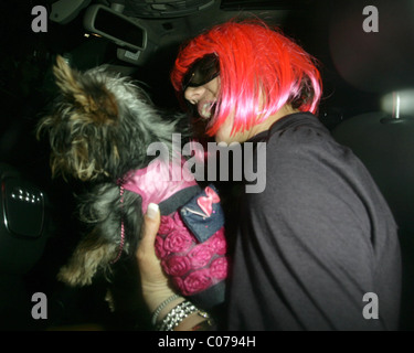 Britney Spears indossando una parrucca rosa in una stazione di gas in Malibu, Los Angeles, California - 15.10.07 Foto Stock