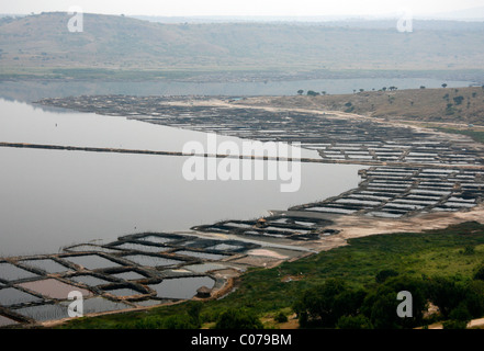 Estrazione del sale in Lake Katwe vicino alla Queen Elizabeth National Park, Uganda occidentale Foto Stock