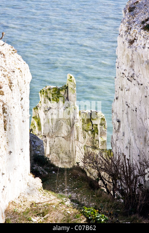 Vedute costiere delle Scogliere Bianche di Dover il National Trust terra con spettacolari, raccolta di capelli viste del canale in lingua inglese Foto Stock