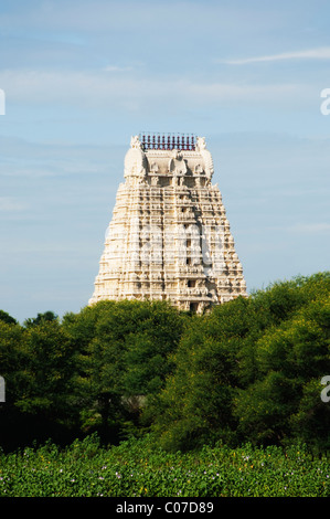 Basso angolo di visione di un tempio, Tirumala Venkateswara Temple, Tirupati, Andhra Pradesh, India Foto Stock