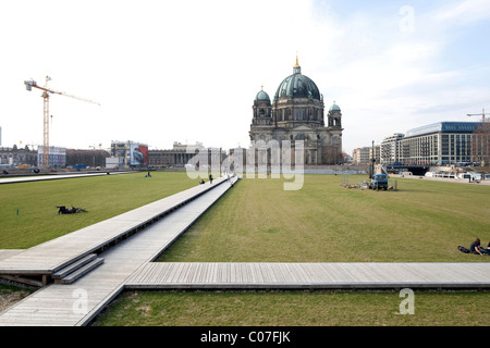 Schlossplatz square, utilizzo temporaneo come un parco, cattedrale Berliner Dom nel retro, quartiere Mitte di Berlino, Germania, Europa Foto Stock
