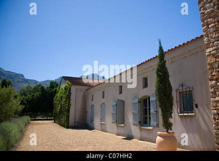 Waterford Wine Estate in Stellenbosch nella Western Cape Foto Stock