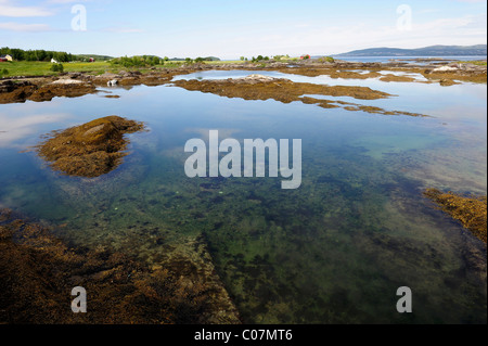 Per RV 17 coast road, Norvegia del Nord, Norvegia, Scandinavia, Europa Foto Stock