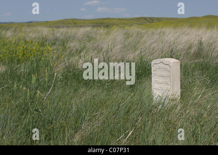 Battaglia di Little Bighorn Foto Stock