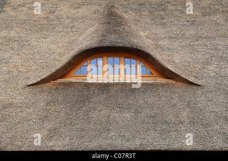 Nuovo tetto di paglia, dettaglio, abbaino in una vecchia casa colonica, Othenstorf, Meclemburgo-Pomerania Occidentale, Germania, Europa Foto Stock