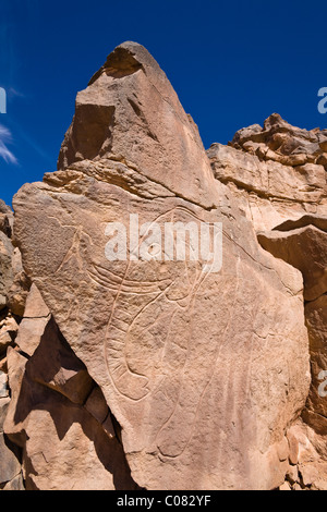 Incisioni rupestri nel Wadi Mathendous, elefante, Wadi Barjuj, deserto di pietra, Libia, Sahara, Africa Settentrionale, Africa Foto Stock