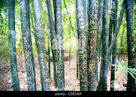 Giardini botanici 'Jardin Majorelle' nella nuova città di Marrakech, bamboo steli sono coperti con i messaggi da giovani Foto Stock