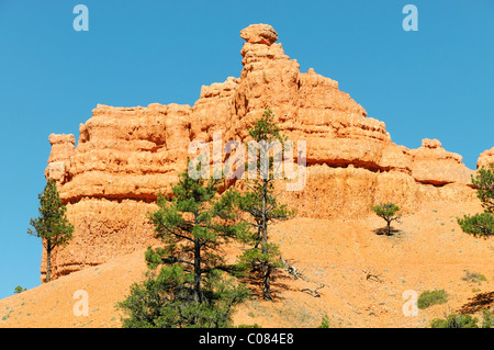 Rocce Rosse nella Red Canyon, Hillsdale, Panguitch, Utah, Stati Uniti d'America, America del Nord Foto Stock