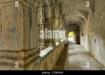 Il chiostro e le rovine di Muckross Abbey, Parco Nazionale di Killarney, nella contea di Kerry, Irlanda Isole britanniche, Europa Foto Stock