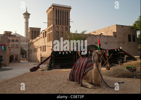 Cammello con tenda beduina al di fuori del quartiere Bastakia, Dubai, Emirati Arabi Uniti, Medio Oriente Foto Stock