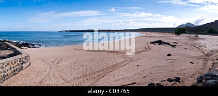 Tartaruga verde area di nidificazione sulla spiaggia Isola di Ascensione Sud Atlantico Foto Stock