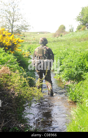 Giunto 09-1 guerriero è un importante esercizio che coinvolge tutti e tre i servizi NEL REGNO UNITO E 12 ha invitato la NATO e le Nazioni Alleate. Foto Stock