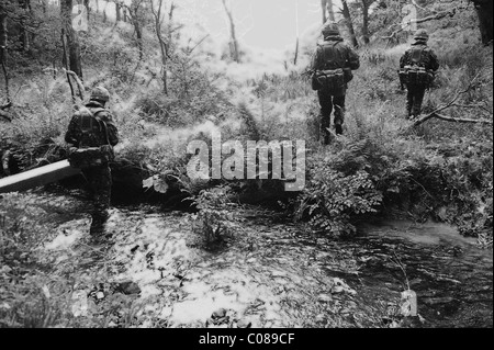 Giunto 09-1 guerriero è un importante esercizio che coinvolge tutti e tre i servizi NEL REGNO UNITO E 12 ha invitato la NATO e le Nazioni Alleate. Foto Stock