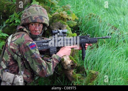 Giunto 09-1 guerriero è un importante esercizio che coinvolge tutti e tre i servizi NEL REGNO UNITO E 12 ha invitato la NATO e le Nazioni Alleate. Foto Stock