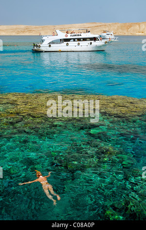 Lo snorkeling e le immersioni vicino all isola di Tiran , a nord di Sharm El Sheikh, la penisola del Sinai, Mar Rosso, Egitto. Foto Stock