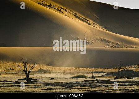 Sossusvlei dunes parco Nauklift in Namibia. Foto Stock