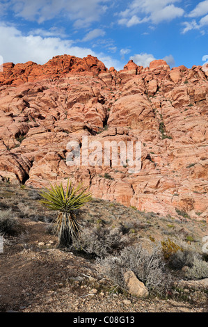 Il calicò colline, il Red Rock Canyon, las vegas, nanovolt 110130 39283 Foto Stock