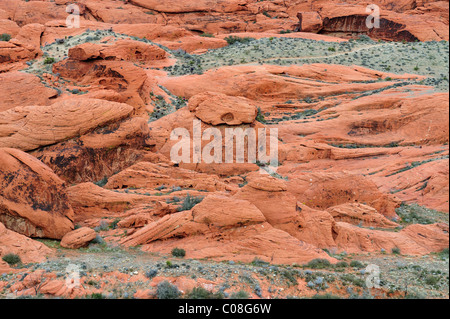 Il post si affacciano, il Red Rock Canyon, las vegas, nanovolt 110130 39291 Foto Stock