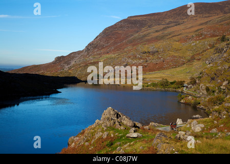 Distante Jaunting Car, Lago Nero il gap di Dunloe, Parco Nazionale di Killarney, nella contea di Kerry, Irlanda Foto Stock