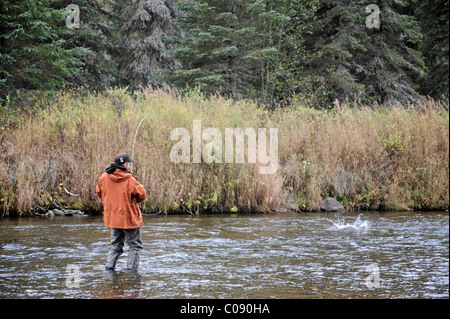 Pescatore a mosca la pesca di Dolly Varden char su Deep Creek, Penisola di Kenai, centromeridionale Alaska, Autunno Foto Stock