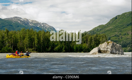 Travi a vista sul fiume Tatshenshini, Tatshenshini-Alsek Parco Provinciale, British Columbia, Canada, estate Foto Stock