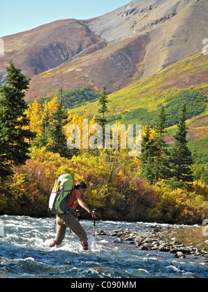 Escursionista femmina con bastoni da passeggio attraversa Windy Creek lungo il Santuario River Trail nel Parco Nazionale di Denali, Interior Alaska Foto Stock