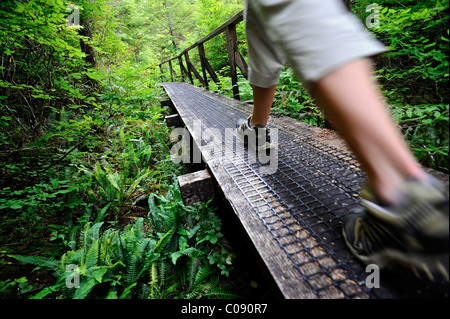 In prossimità di una donna escursionismo sulla perseveranza Lago Trail in Tongass National Forest vicino a Ketchikan, a sud-est di Alaska, estate Foto Stock