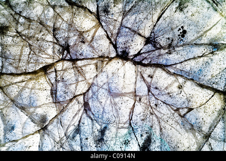 Close up di ghiaccio incrinature nel fiume Nenana vicino a Parco Nazionale e Riserva di Denali, Interior Alaska, inverno Foto Stock