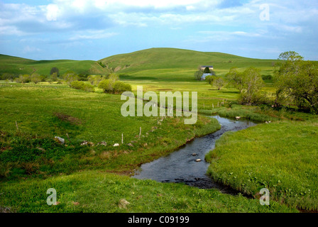 Piccola corrente nel campo centrale nel Cezallier. Auvergne Francia. Foto Stock