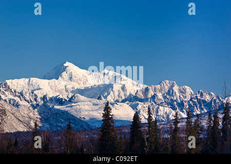 La mattina presto luce sul sud del monte McKinley e Mooses il dente come si vede dal Denali State Park Viewpoint, Alaska Foto Stock