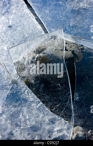 Close up dettaglio dei modelli di ghiaccio in un'acqua di disgelo Congelato stagno causato da un improvviso cambiamento di livello di acqua, Denali Highway, Alaska Foto Stock