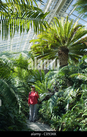Le donne in una casa delle palme, giardino botanico di Monaco di Baviera, Germania, Europa Foto Stock