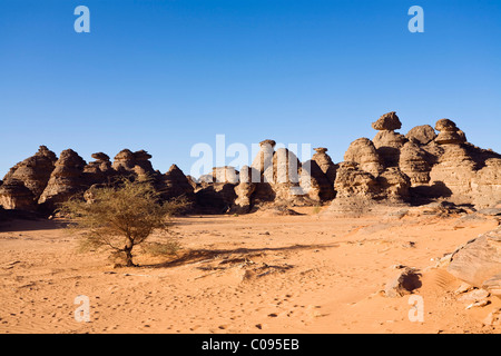 Le formazioni rocciose nel deserto libico, Wadi patners per la, montagne Akakus, Libia, Africa Settentrionale, Africa Foto Stock