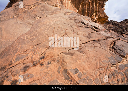 Incisioni rupestri in Libia deserto di pietra, elefanti, Tassili Maridet, Libia, sahara Africa del Nord Foto Stock