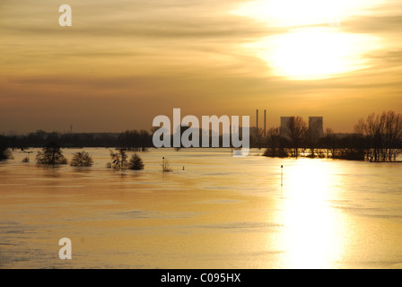 Inondati rive del fiume Maas Roermond Paesi Bassi Foto Stock