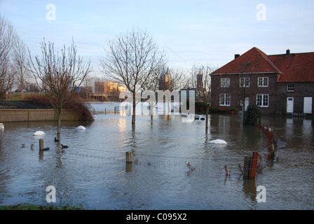 Inondati rive del fiume Maas Roermond Paesi Bassi Foto Stock