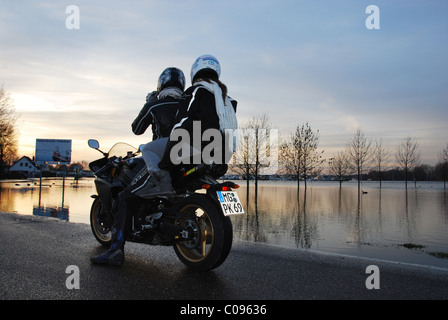 Inondati rive del fiume Maas Roermond Paesi Bassi Foto Stock