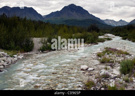 Un tributario torrente scorre su rocce sul suo modo al fiume Matanuska centromeridionale, Alaska, estate Foto Stock