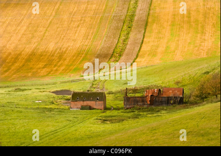 Fienile abbandonati in un colorato paesaggio agricolo Foto Stock