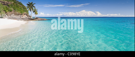 Isola deserta panorama con palme sulla spiaggia Foto Stock