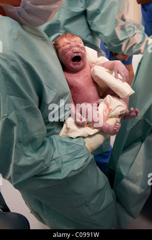 Un appena consegnato urlando new born baby caucasica prende il suo primo respiri nelle braccia di un medico in teatro Foto Stock