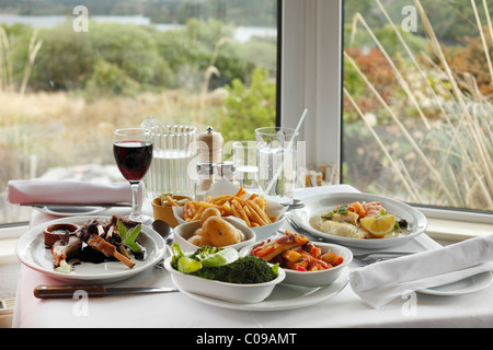 Cena con costolette di agnello e vino rosso, Josie's Lakeview House, penisola di Beara, nella contea di Kerry, Irlanda Isole britanniche, Europa Foto Stock
