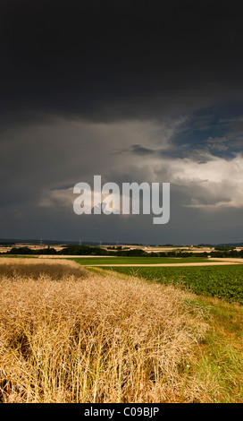 Spesse nuvole temporalesche raccolta su una zona agricola, Baviera, Germania, Europa Foto Stock