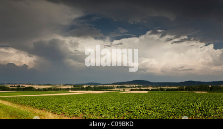 Spesse nuvole temporalesche raccolta su una zona agricola, Baviera, Germania, Europa Foto Stock