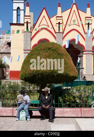 Gente peruviana sedersi sotto un albero di Pino Park nel centro di Puno Foto Stock