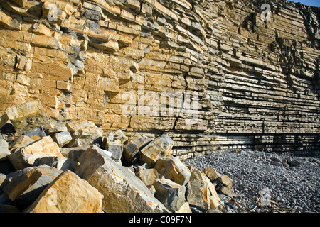 Instabili e sbriciolamento scogliere sul Glamorgan Heritage Coast Foto Stock